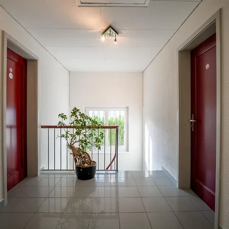 Near Oerlikon And Airport Appartement