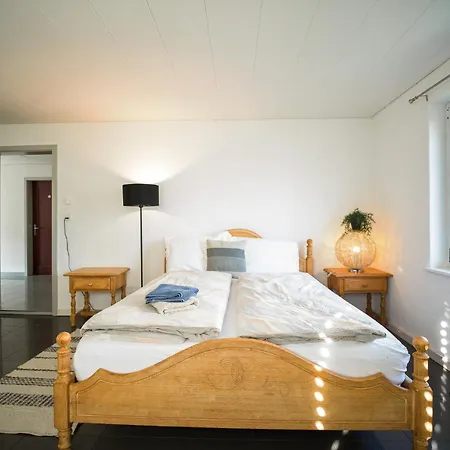 Appartement Near Oerlikon And Airport Zurich