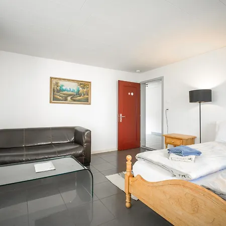 Near Oerlikon And Airport